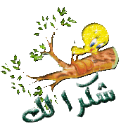برنامج جنة الدنيا للشيخ محمد حسين يعقوب 165857